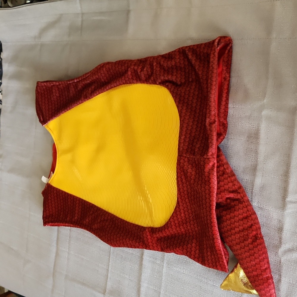 Kids Dragon dressup costume